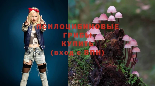 синтетический гашиш Арсеньев